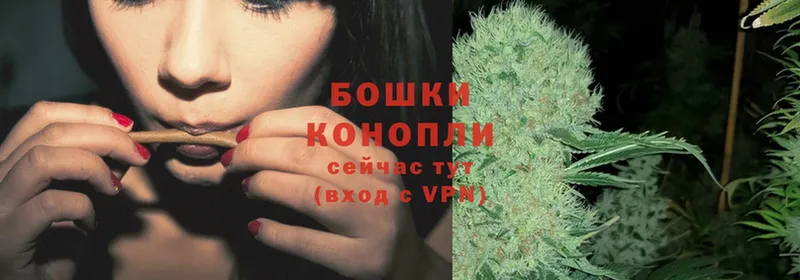 Бошки марихуана White Widow  продажа наркотиков  blacksprut зеркало  Еманжелинск 